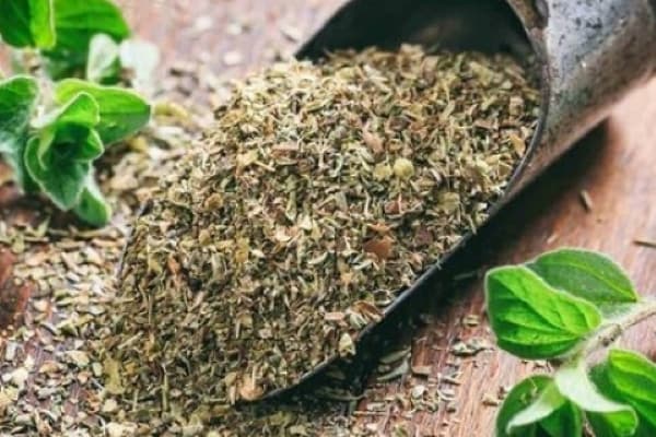 تصویر 1 از معرفی آویشن کوهی شیرازی + بهترین قیمت خرید